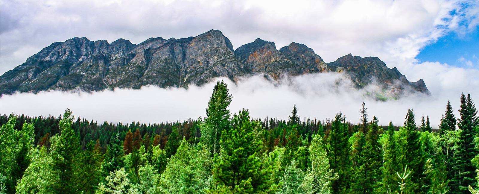 Zhejiang Zhongli সিন্থেটিক উপকরণ প্রযুক্তি কোং, লিমিটেড